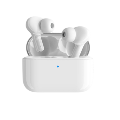 二手荣耀 Earbuds X1回收